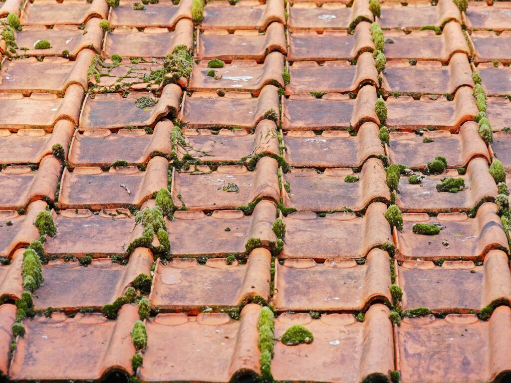 old-roof-2703949_1920